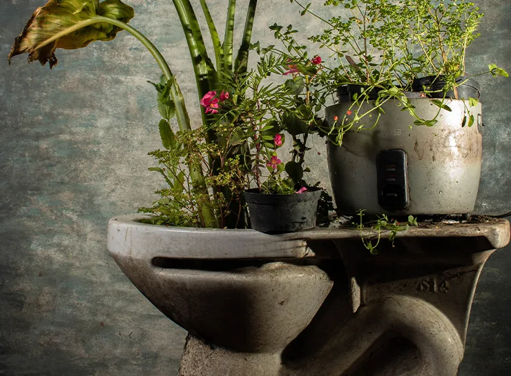 Fotografía, Jorge Ariza y Nury Tique